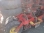 Сеялка пневматическая Vaderstad RDA 600 C